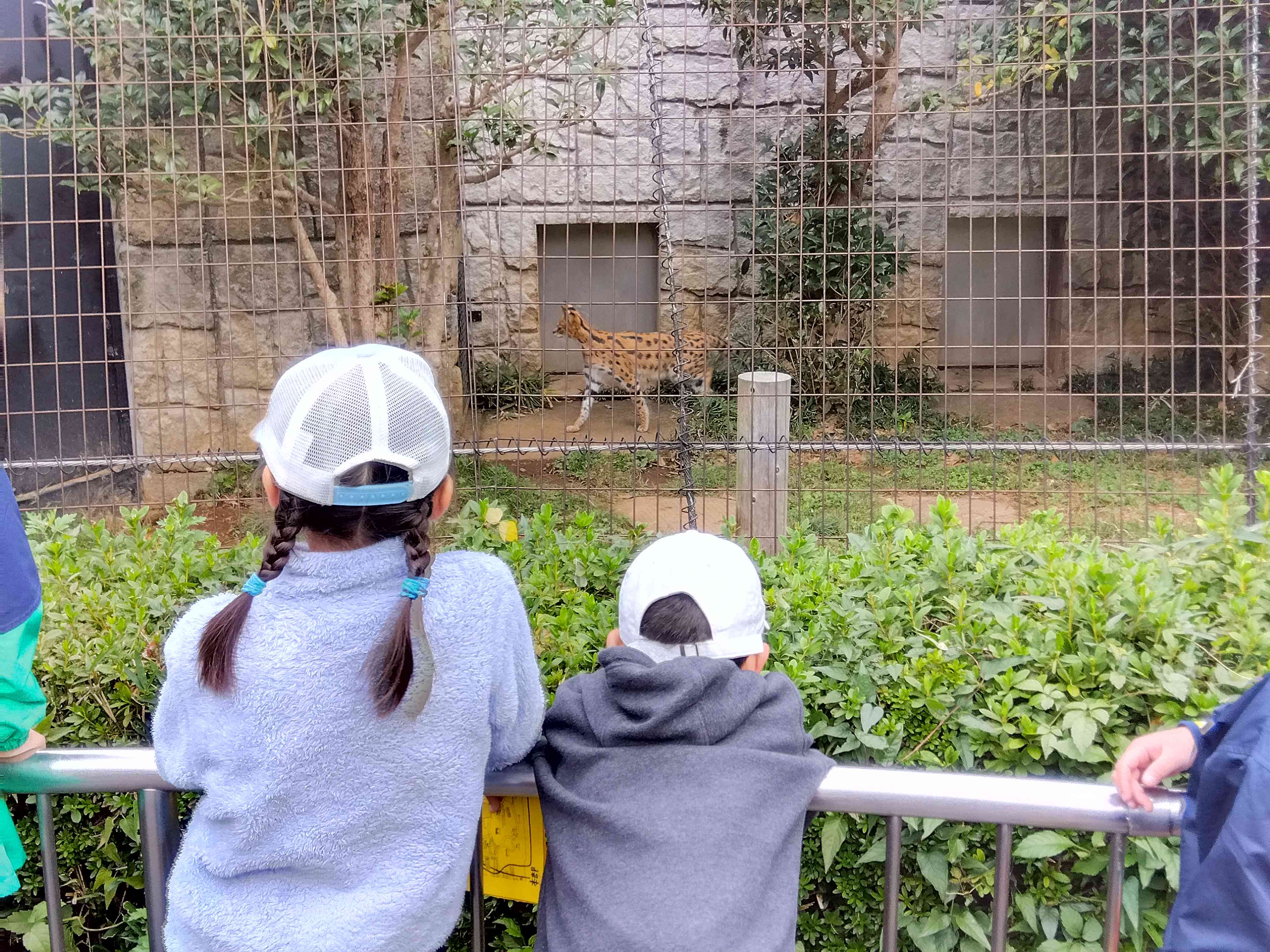 IMG_2025-11-13-11-09-16-337