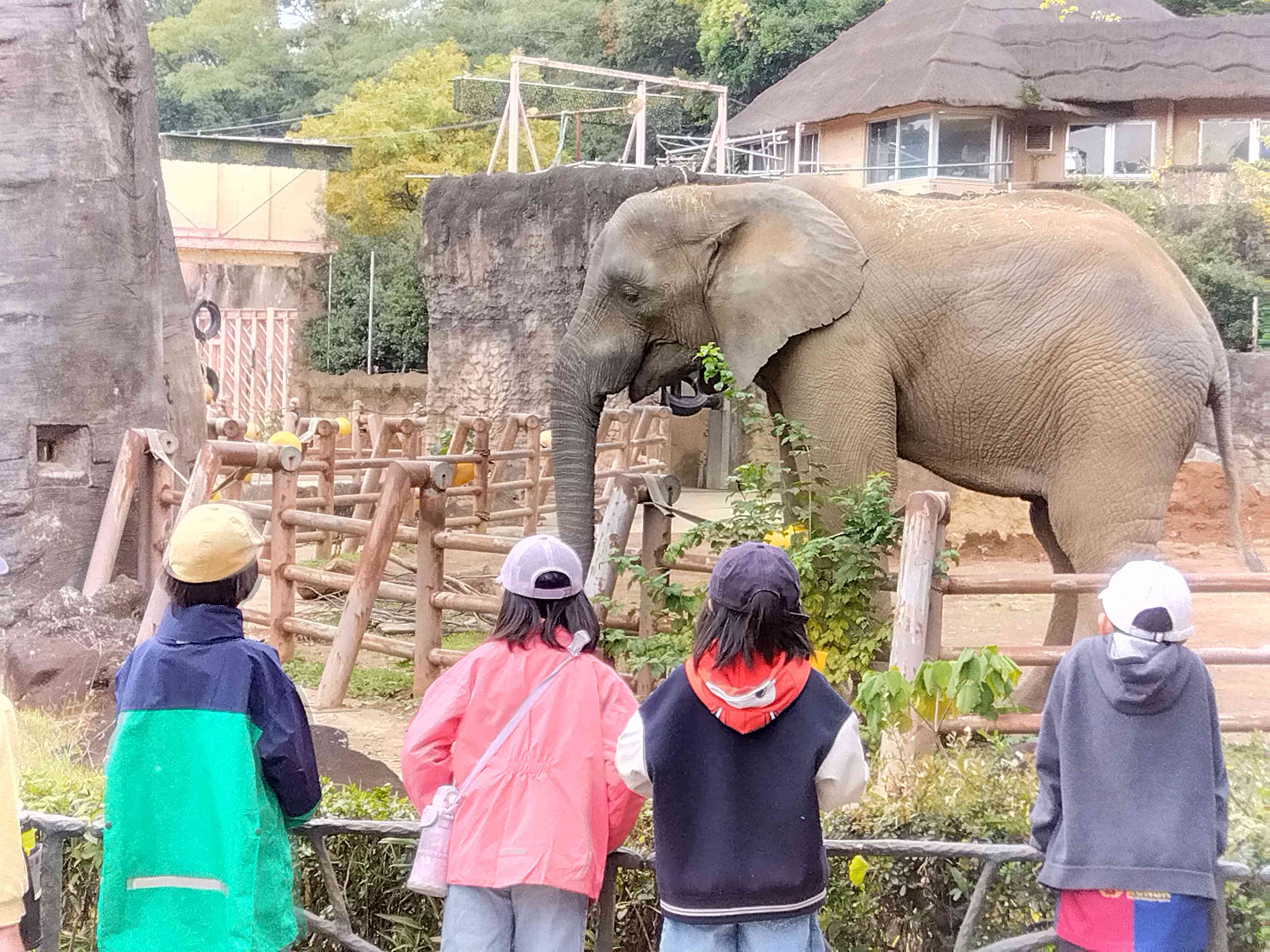 IMG_2025-11-13-11-00-51-786