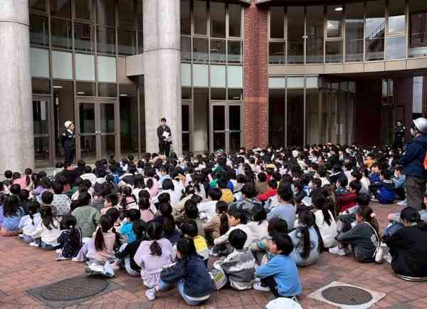 1763707947797-0_copy_600x434