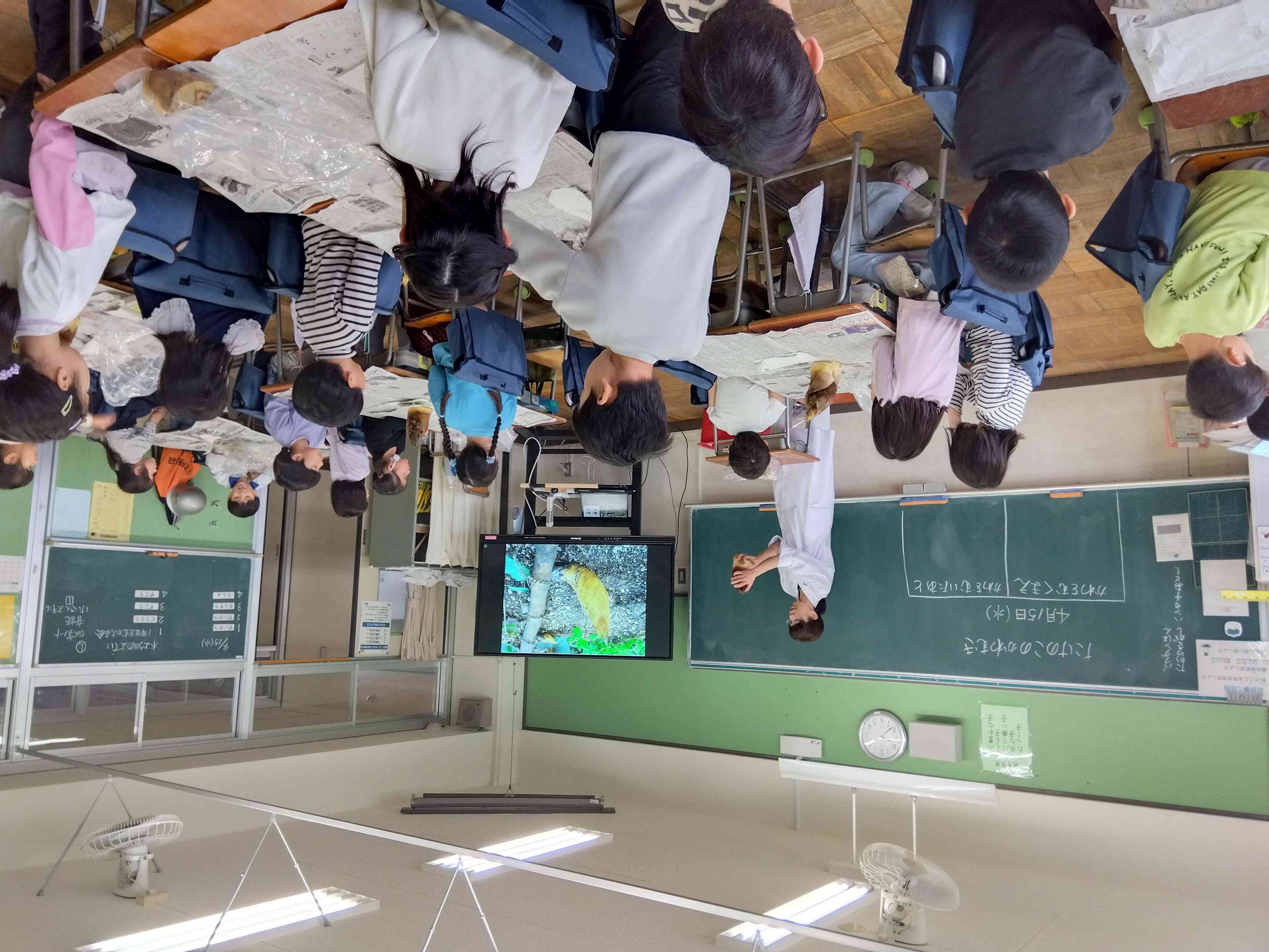 IMG_2026-04-15-09-38-06-694