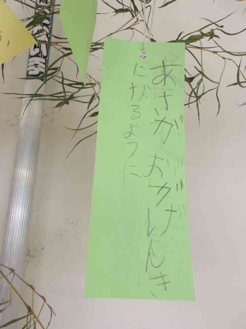 100_0019asagao
